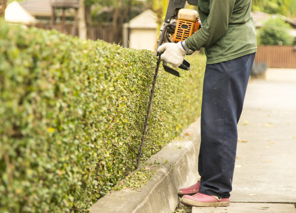 the,gardener,is,trimming,branches